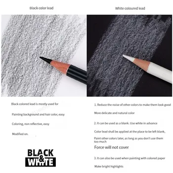 12-2шт Черно-белых цветных карандаша -Несмываемые цветные карандаши для рисования на масляной основе, деревянные цветные карандаши для художников и начинающих художников 2