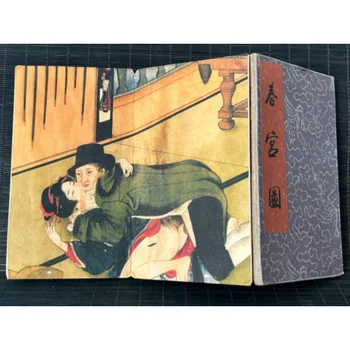 Древняя картина Шунга Британский секс по телу альбом с картинками в стиле старой книги 1