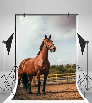 Перила для лошадей на ферме Laeacco Детские фоны для фотосъемки Индивидуальные фотографические фоны для фотостудии